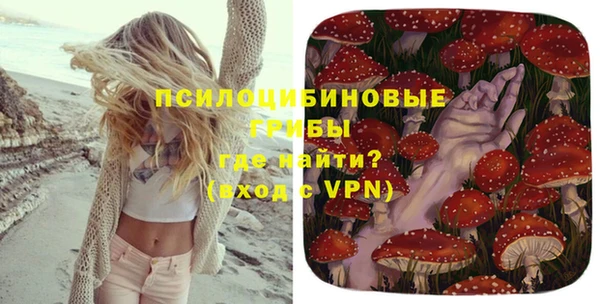 а пвп мука Абаза