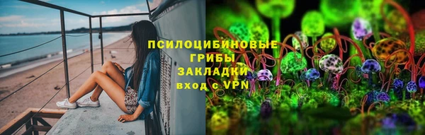 стафф Абинск