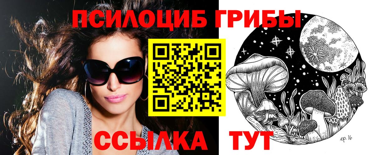 где можно купить наркотик  Галлюциногенные грибы Psilocybe  Вход с VPN  Алейск 