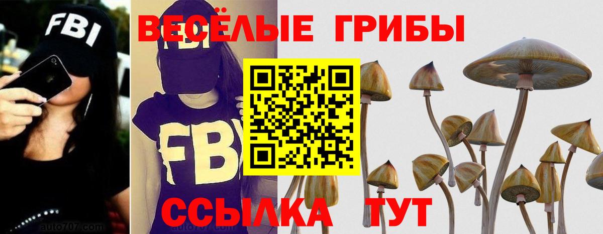 Псилоцибиновые грибы мицелий Алейск